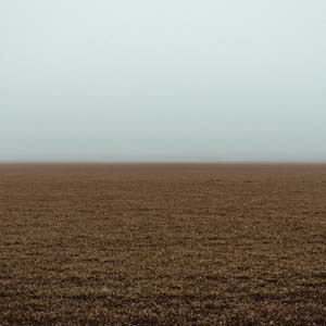 Solid Ground